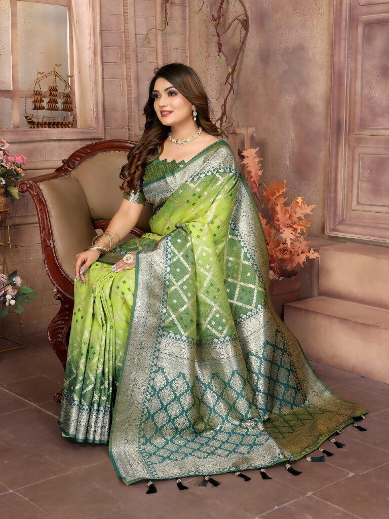 Anaita Light Green kochi Silk With Beautiful Checks Weaving Saree With Blouse