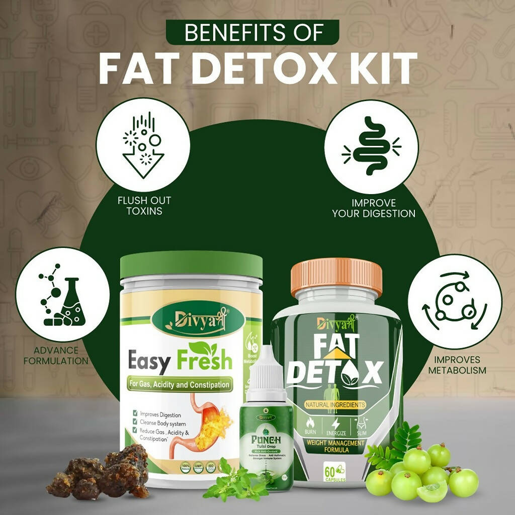 Divya Shree Fat Detox Capsule + Easy Fresh Powder & Punch Tulsi Drop Gas Combo Kit - Swadesiicart