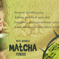 Eteasy Japanese Matcha Sonti Mix Milk Drink Kashmiri Kesar Saffron Mix Powder | Swadesiicart
