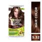 Garnier Color Naturals Creme Riche Hair Color - Shade 5.32 Caramel Brown - Swadesiicart