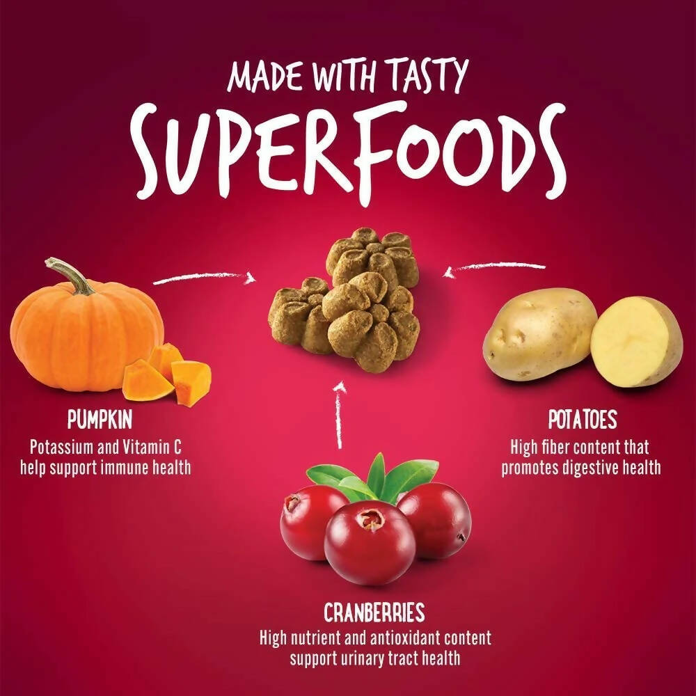 Fruitables Pumpkin And Cranberry Dog Treat - Swadesiicart
