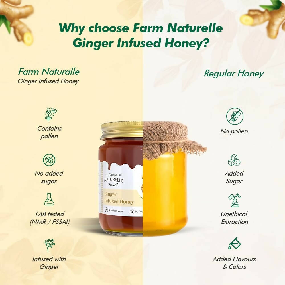 Farm Naturelle Ginger Infused Honey - Swadesiicart