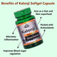 Cipzer Kalonji Softgel Capsules - Swadesiicart