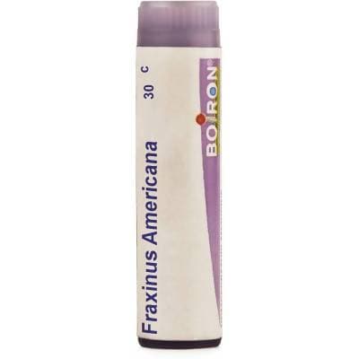 Boiron Homeopathy Fraxinus Americana | Swadesiicart