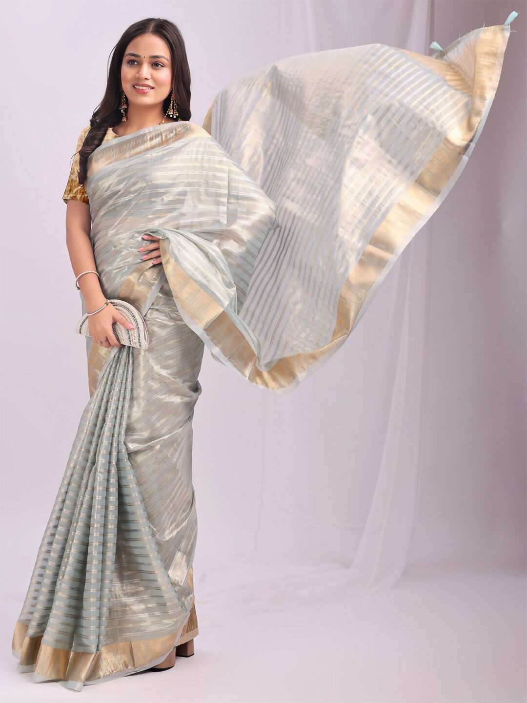 Shree Shyam Fashion Organza Sky Blue Saree