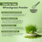 Ishva Wheatgrass Powder Pure & Natural Superfood Detoxifies, Supports Digestion & Promotes Vitality | Swadesiicart