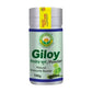 Basic Ayurveda Giloy Powder