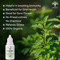 Vanalaya Panch Tulsi Drops | Swadesiicart