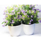 Chahat Decorative Artificial Flower Plant 2 Piece Combo