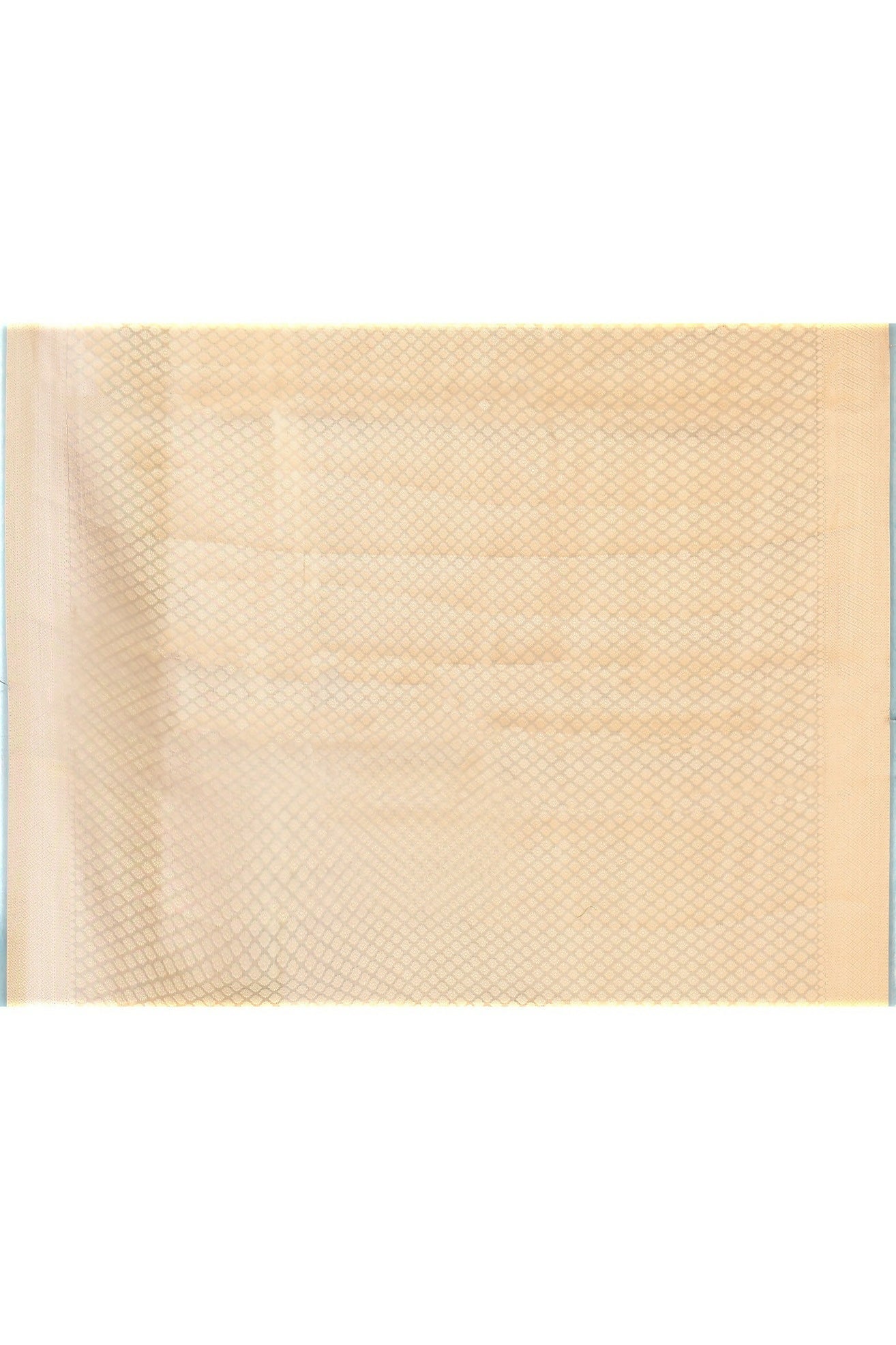 Joban Fashion Grey Pure Banarasi Tissue Saree | Swadesiicart