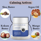 Dermistry Revitalizing Nourishing Body Butter for Ultra Dry & Flaky Skin Mango Kokum & Shea Butter - Swadesiicart