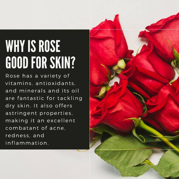 Organicos Rose Face Cleanser - Swadesiicart