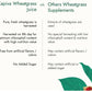 Kapiva Ayurveda Wheat Grass Juice - Swadesiicart