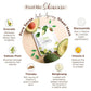 Pure Sense Youthful Glow Sheet Mask with Kakadu Plum & Avocado - Swadesiicart