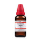 Dr. Willmar Schwabe India Scrophularia Nodosa Dilution | Swadesiicart