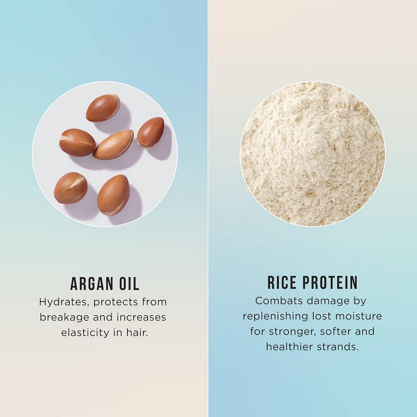HASK Argan Oil Repairing Deep Conditioner | Swadesiicart