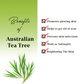 AYA Australian Tea Tree Face Mask