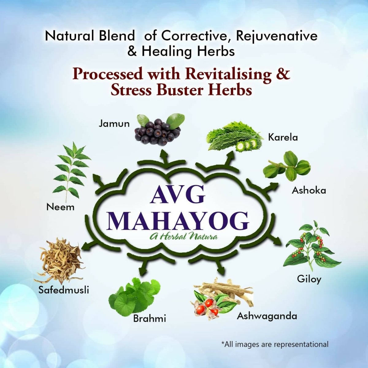 AVG Health Organics Mahayog, Vital Diaba Care Juice - Swadesiicart
