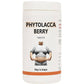 Bakson's Homeopathy Phytolacca Berry Tablets | Swadesiicart
