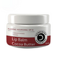 Dermistry Cocoa Butter Lip Care Tint Balm Plumping Nourishing Retinol SPF 10 for Glossy Lips - Global Medicare Inc