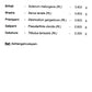 download (29)