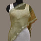 Light Green Bandhani Organza Stole with Embroidary Work Design - Global Threads | Swadesiicart