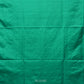 Light Green Uppada Silk Handloom Saree with Peacocks Border and Floral Pallu Design - Global Threads | Swadesiicart