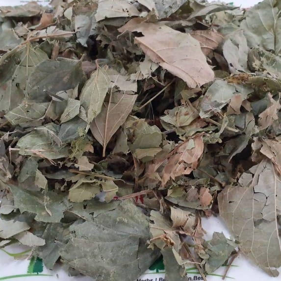 Liferr Parijat Leaves Powder | Swadesiicart