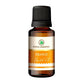Korus Essential Sweet Orange Essential Oil - Therapeutic Grade - Just Jaivik