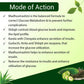 Uma Ayurveda Madhuvinashini Tablets - Swadesiicart
