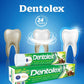 Alex Dentolex Herbal Toothpaste - Swadesiicart