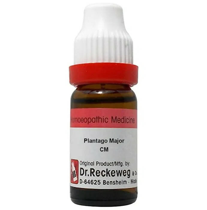 Dr. Reckeweg Plantago Major Dilution | Swadesiicart