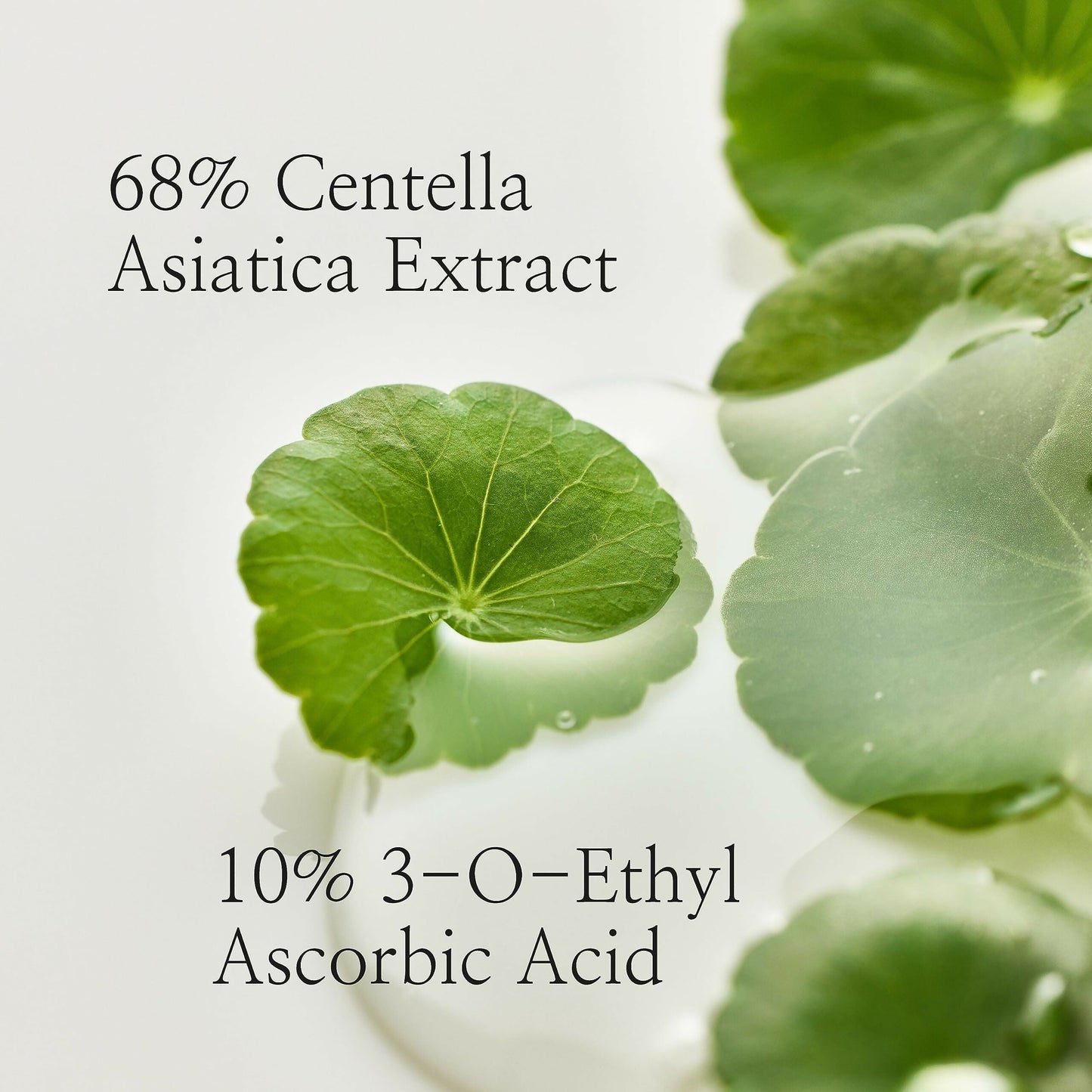Beauty of Joseon Light On Serum Centella + Vita C - Korean Skincare | Swadesiicart
