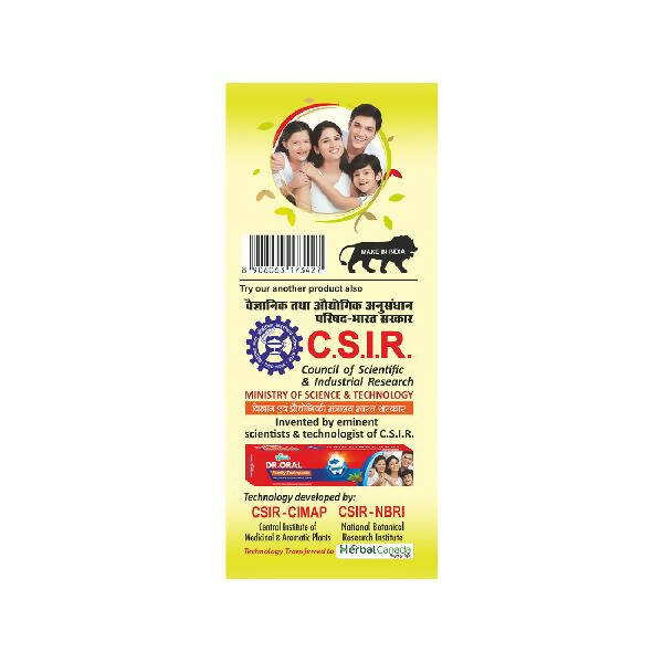 Herbal Canada Olive Oil (Jaitoon Oil) | Swadesiicart