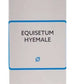 SBL Homeopathy Equisetum Hyemale Mother Tincture Q | Swadesiicart