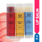 House of Beauty Pout Perfect Tinted Lip Balm Set - Swadesiicart