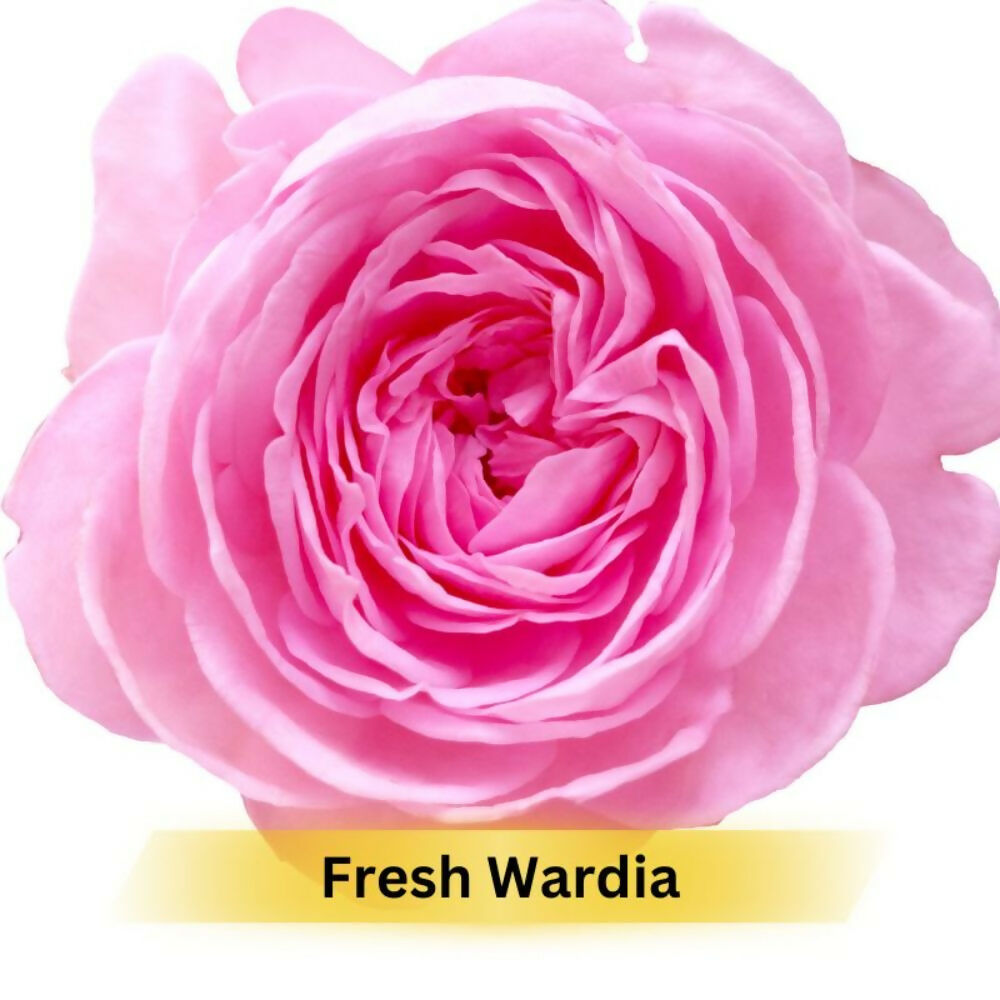 Prakriti Herbal Soap Fresh Wardia - Swadesiicart