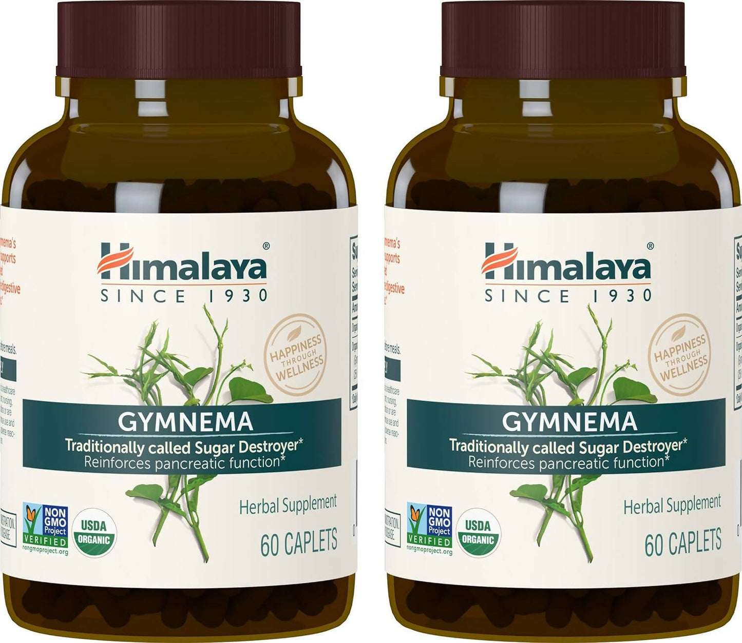 Himalaya Herbals Gymnema Caplets | Swadesiicart