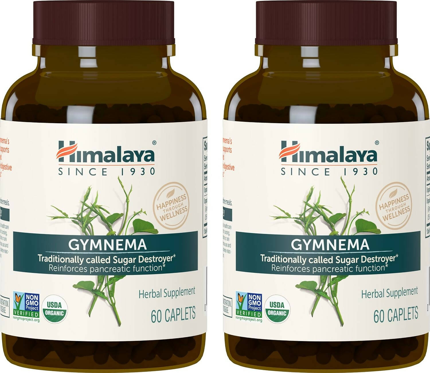 Himalaya Herbals Gymnema Caplets | Swadesiicart