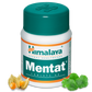 Himalaya Herbals Mentat Tablets online