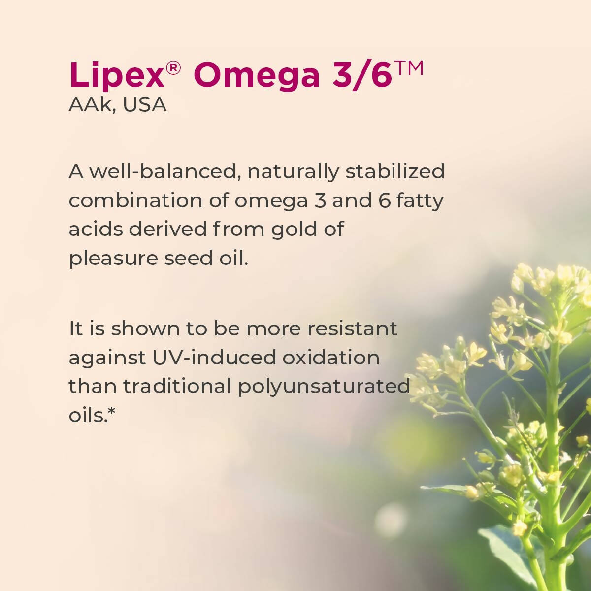 Healthyr-U Omega Skin Repair Face Serum | Swadesiicart