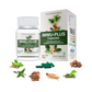 Satya Pharmaceuticals Ayurveda Immu Plus Capsules | Swadesiicart
