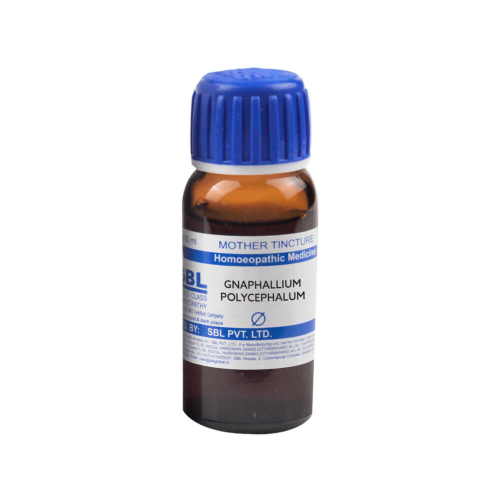 SBL Homeopathy Gnaphalium Polycephalum Mother Tincture Q | Swadesiicart