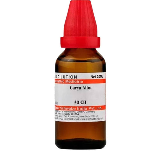 Dr. Willmar Schwabe India Carya Alba Dilution | Swadesiicart