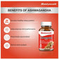 Baidyanath Kolkata Ashwagandha Tablets | Classical Ayurvedic Adaptogen for Stress & Vitality - Swadesiicart