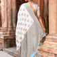 Joban Fashion Light Sky Blue Crepe Chiffon Pure Handloom Banarasi Silk Saree | Swadesiicart