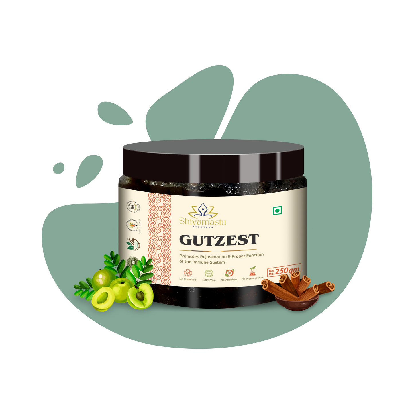 Shivamastu Ayurveda Gutzest Chyawanprash | Swadesiicart
