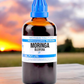 SBL Homeopathy Moringa Oleifera Mother Tincture Q - Swadesiicart