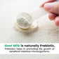 Hye Foods Goat Milk Powder - Swadesiicart