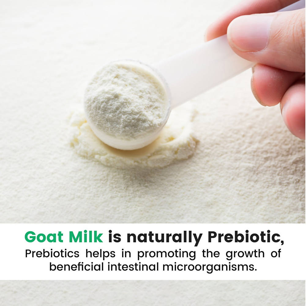 Hye Foods Goat Milk Powder - Swadesiicart